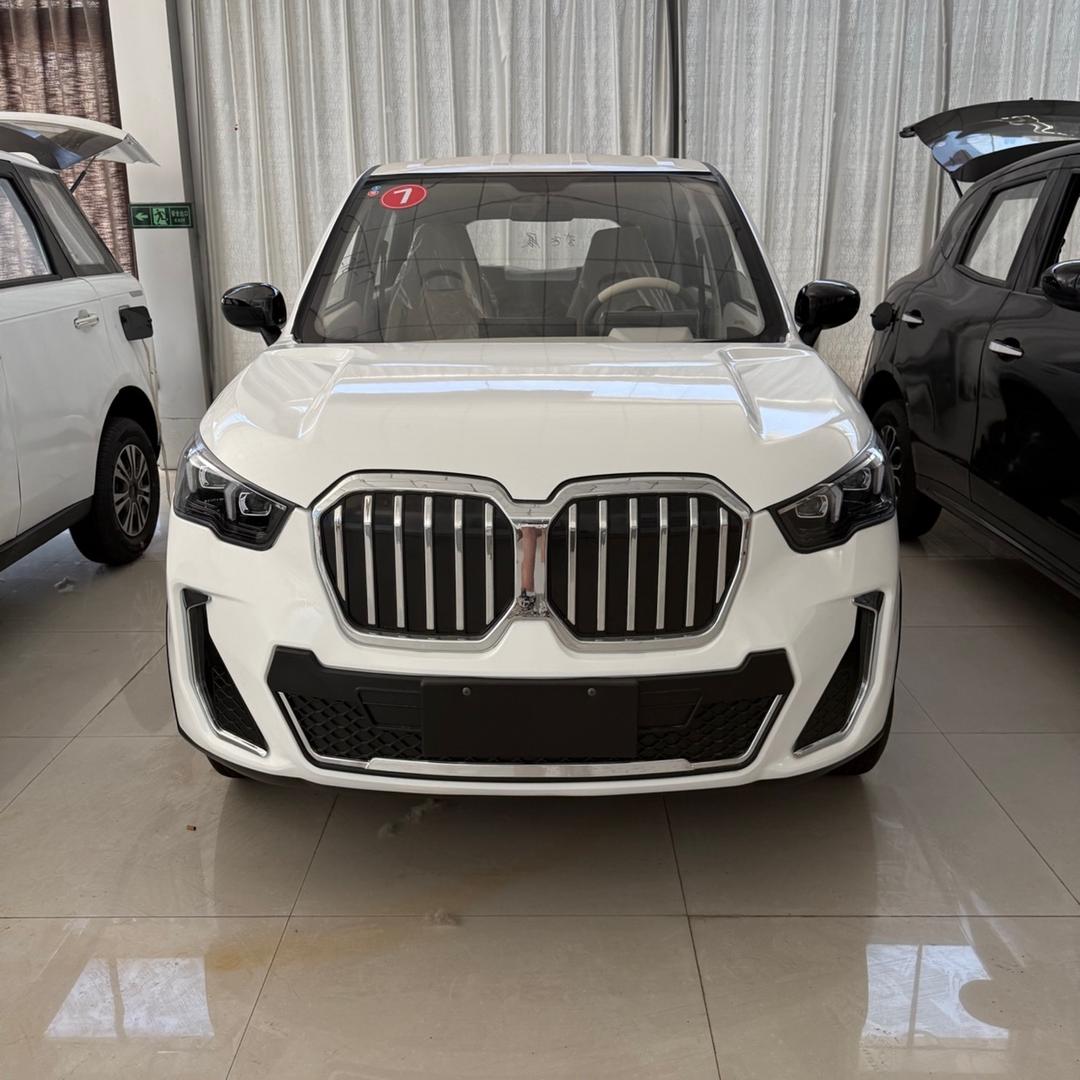 莱鑫新能源电轿车工厂