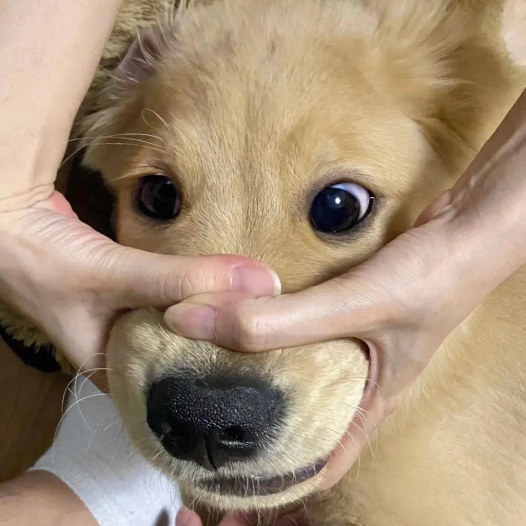 劲舞家族2Q群第一堂主