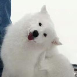 oO