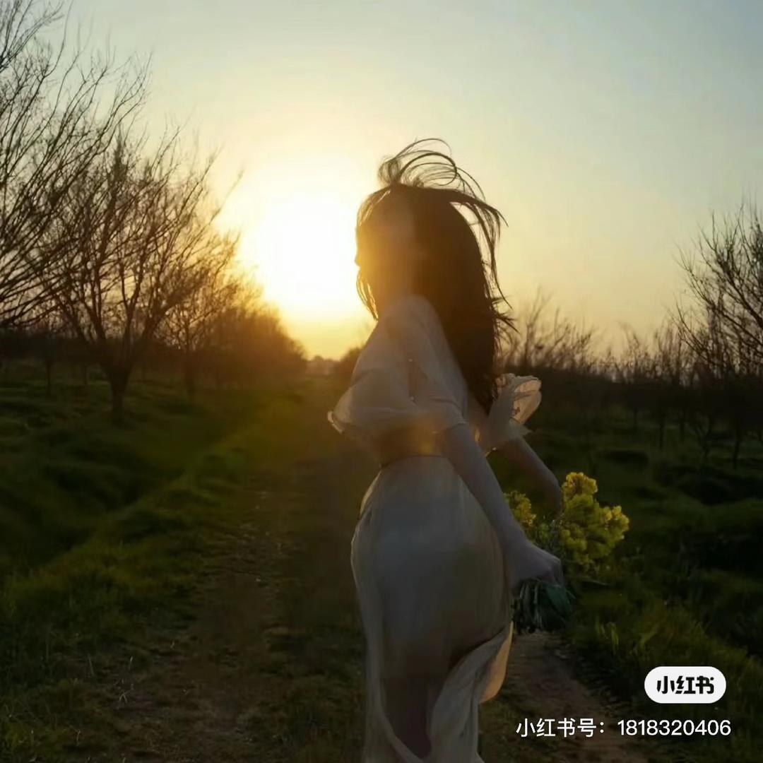 南枝🍃