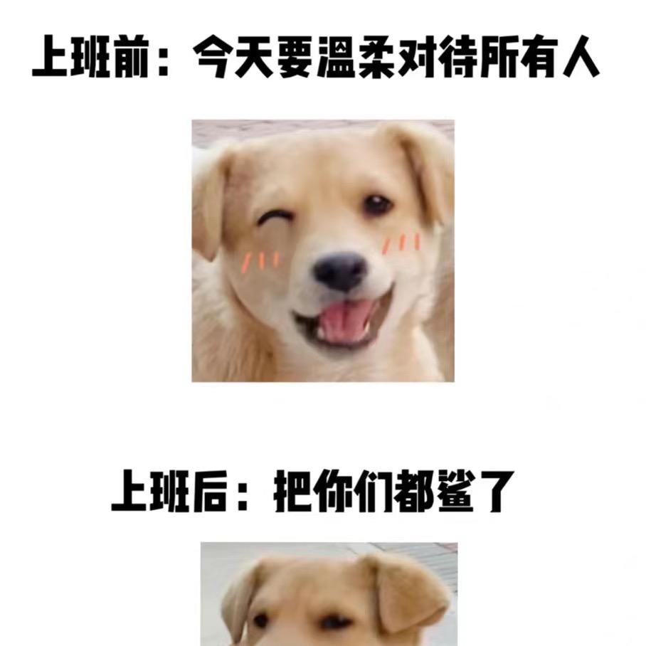 须尽欢欢欢欢欢欢