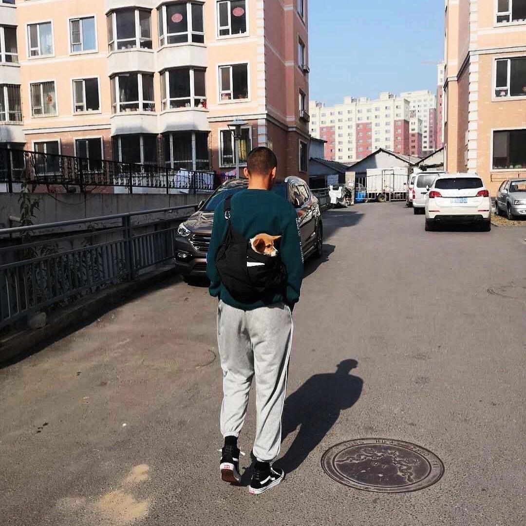 徐小黑🚶♂️