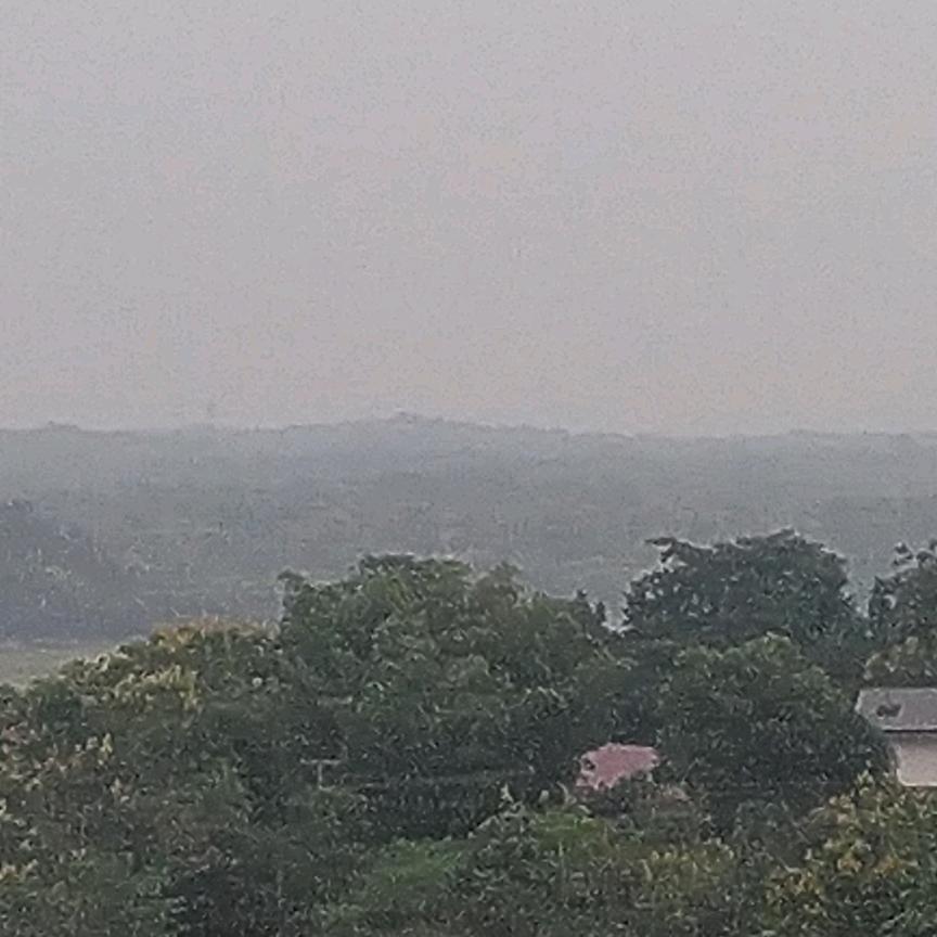 梁山泊的蝴蝶