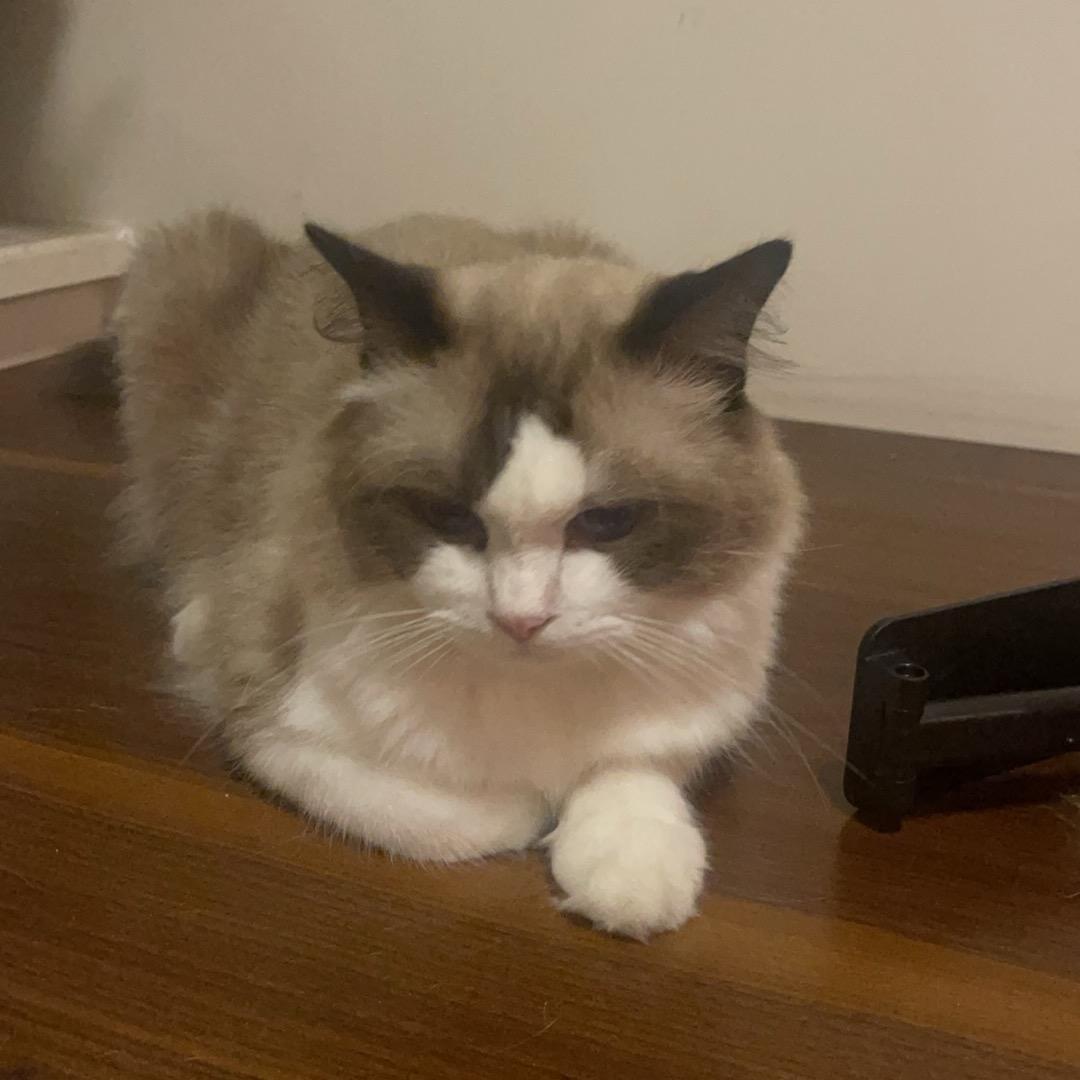 6儿（助力新人）抱团取暖