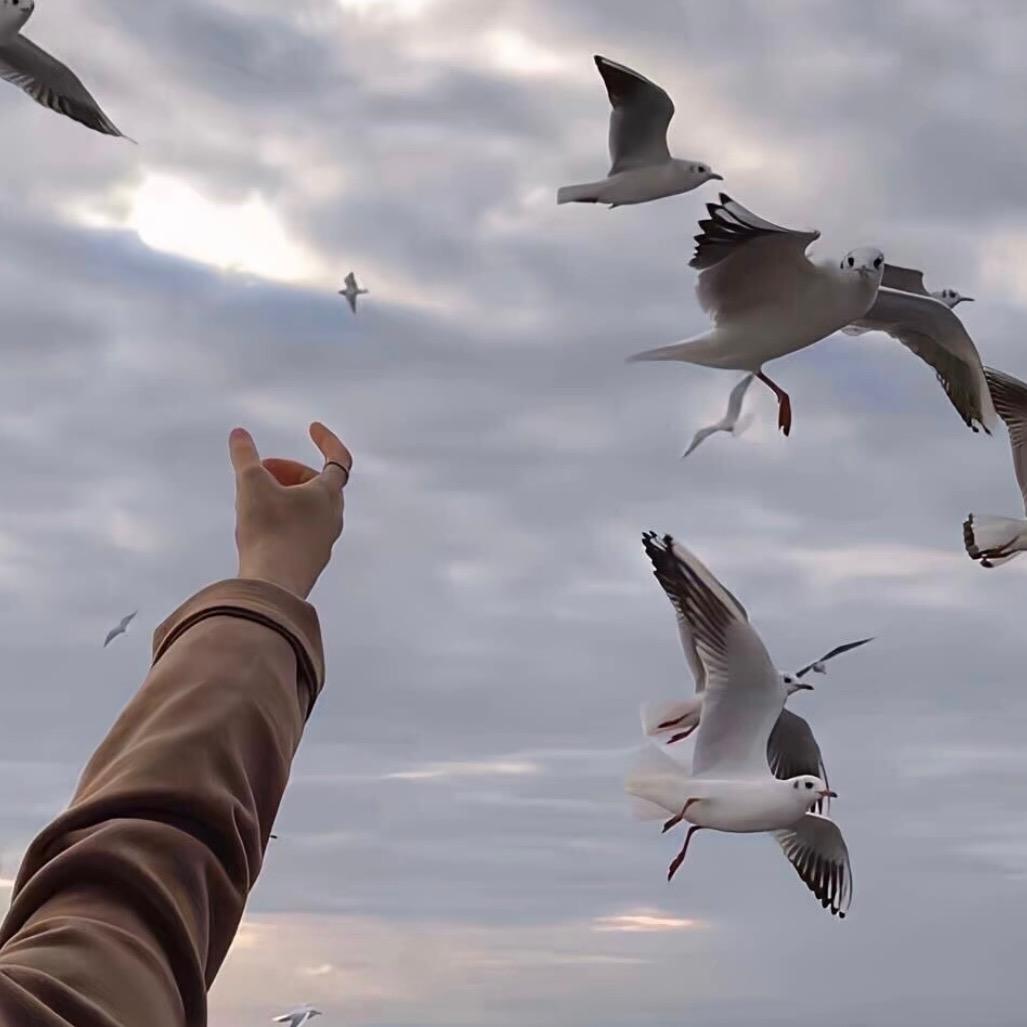 麦克阿瑟谈手游GM