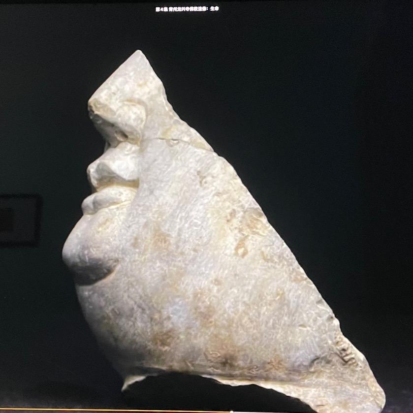 无毛两足生物（准备开课版
