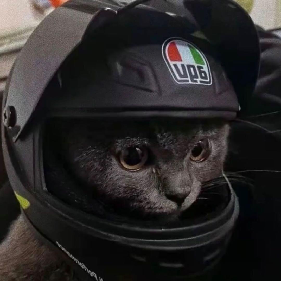 小新（三角洲行动）