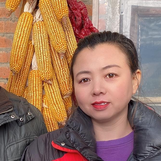 郑嫂一家人