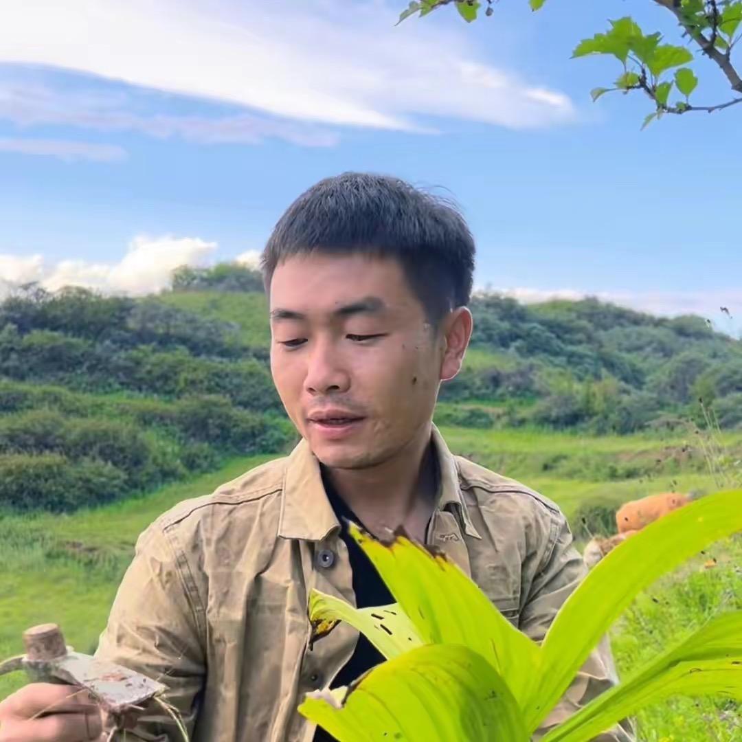 西北小马本草