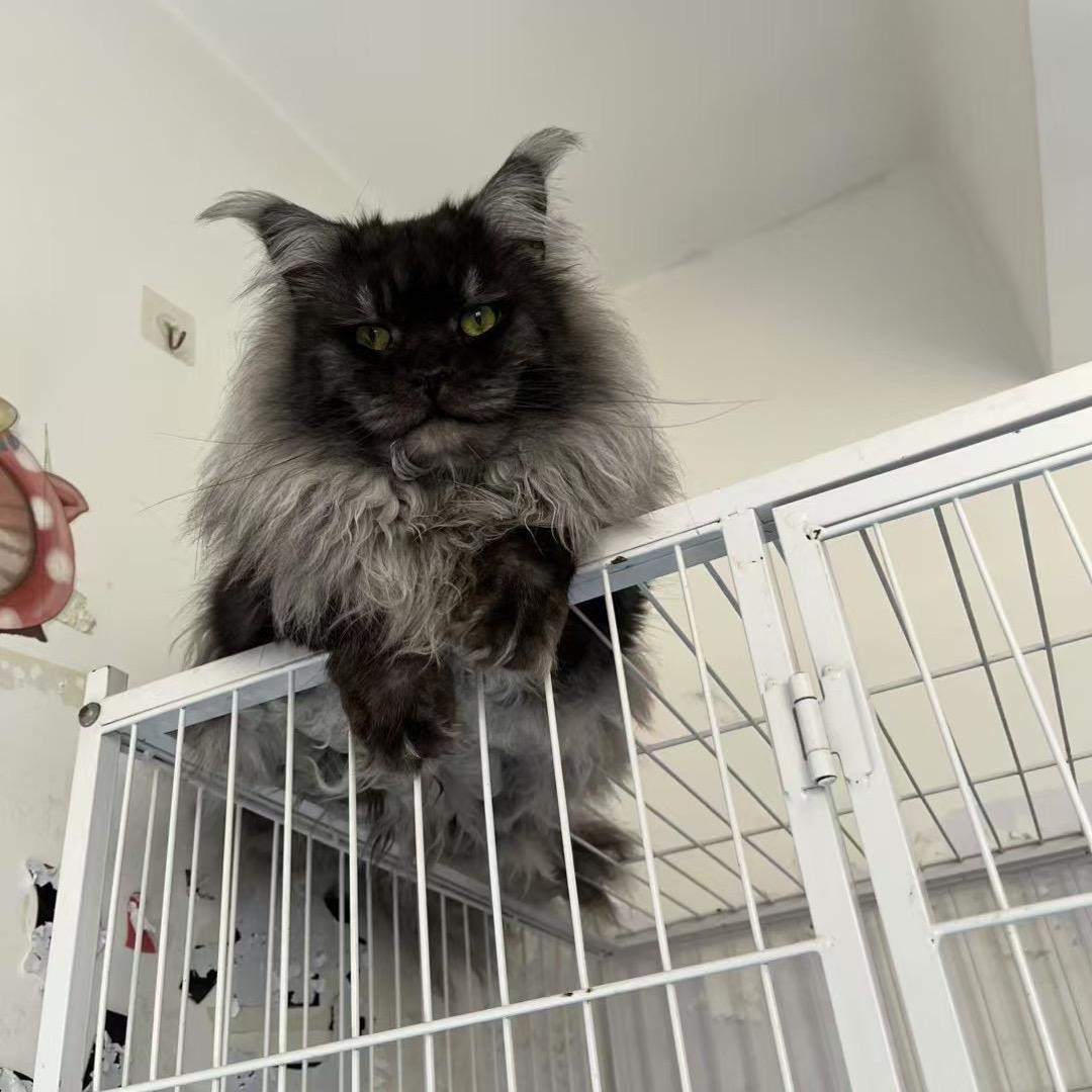 云南宠幸李创意生活坊