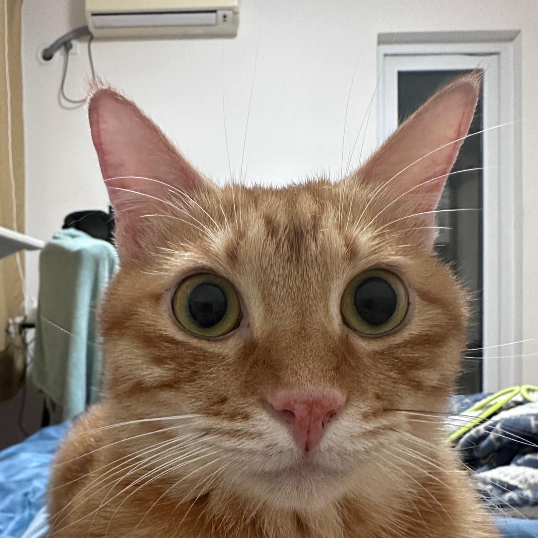 少吃零食多喝水（备考ing）