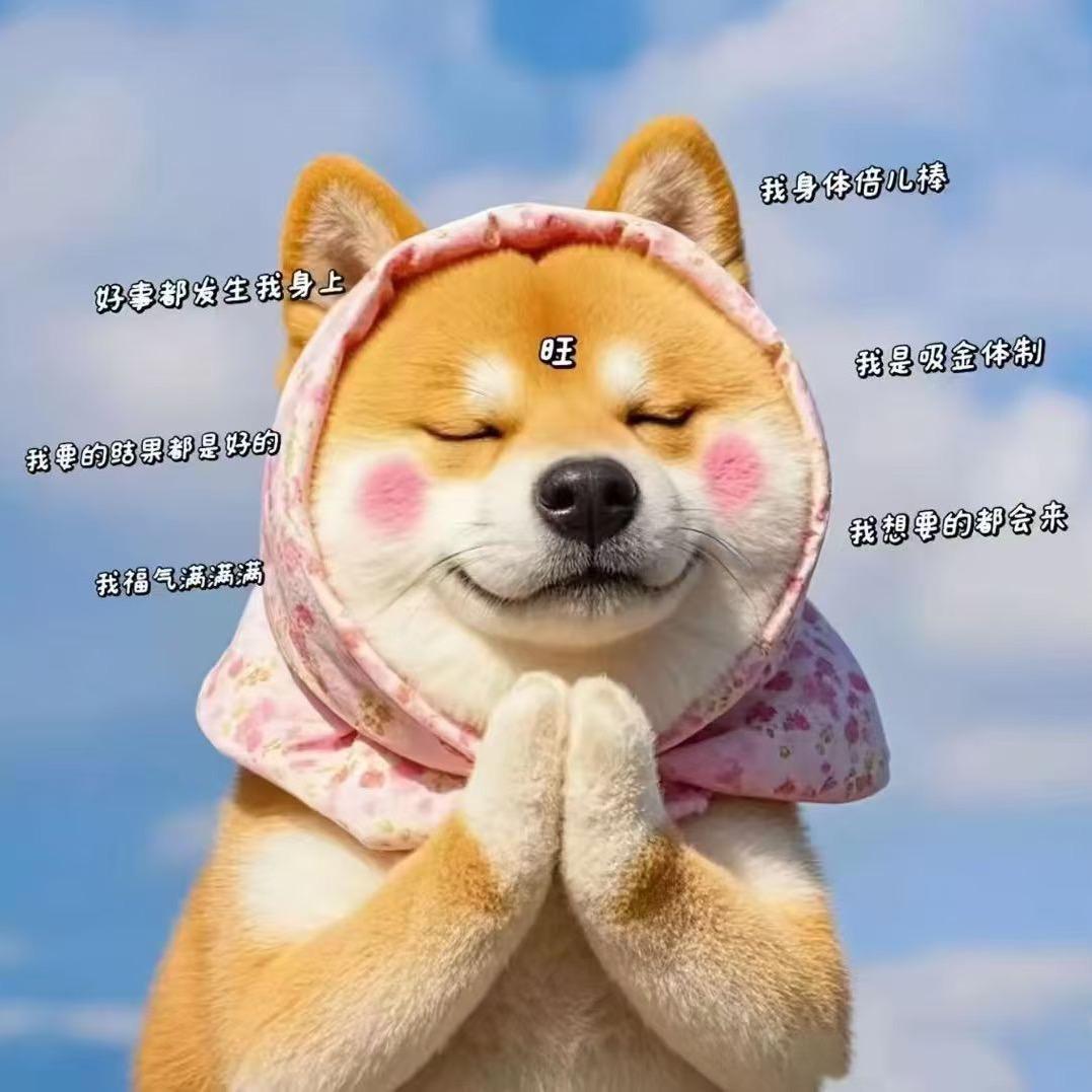 南一的包