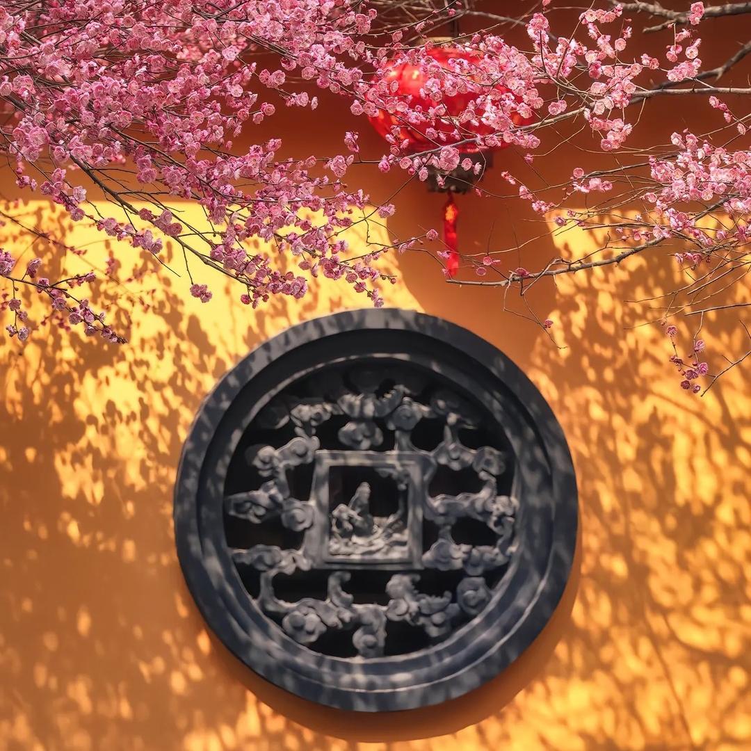 政屿ic c