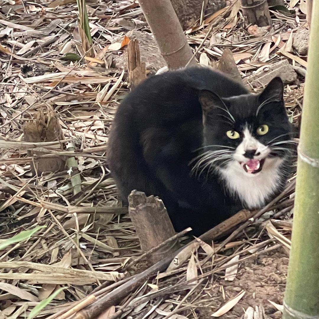 永康绘画昂丽中心