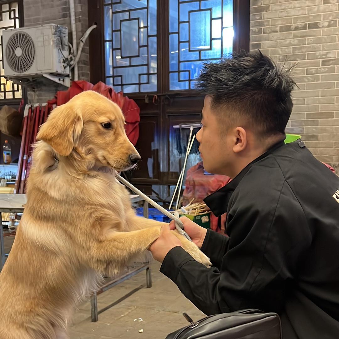 你可以叫它雷碧