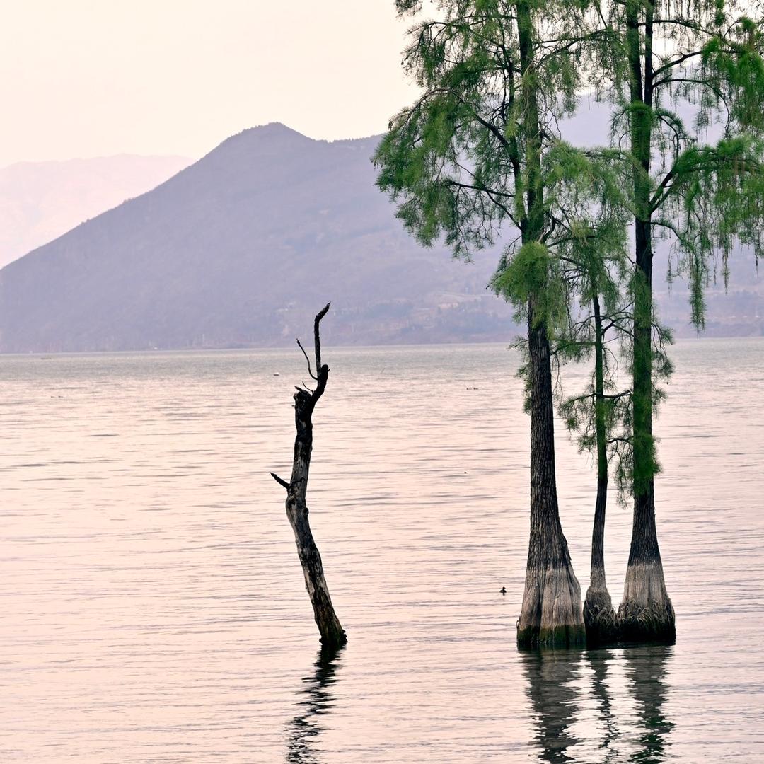 一个臭拍照的📷（大理约拍版）