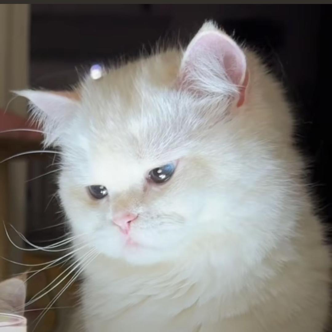 北北