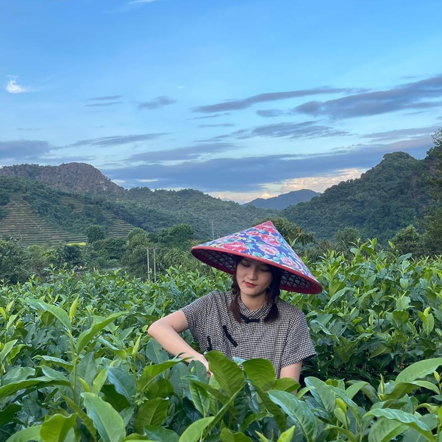 壹盏茶香