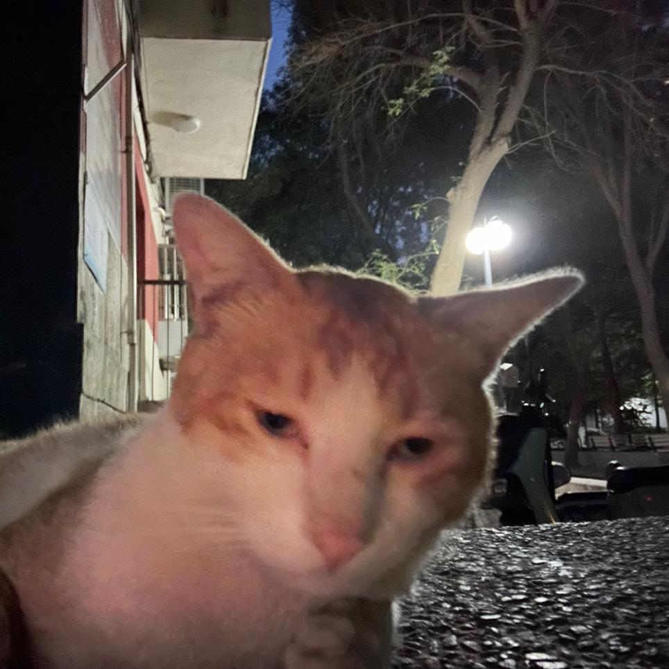 查尔斯想环游世界