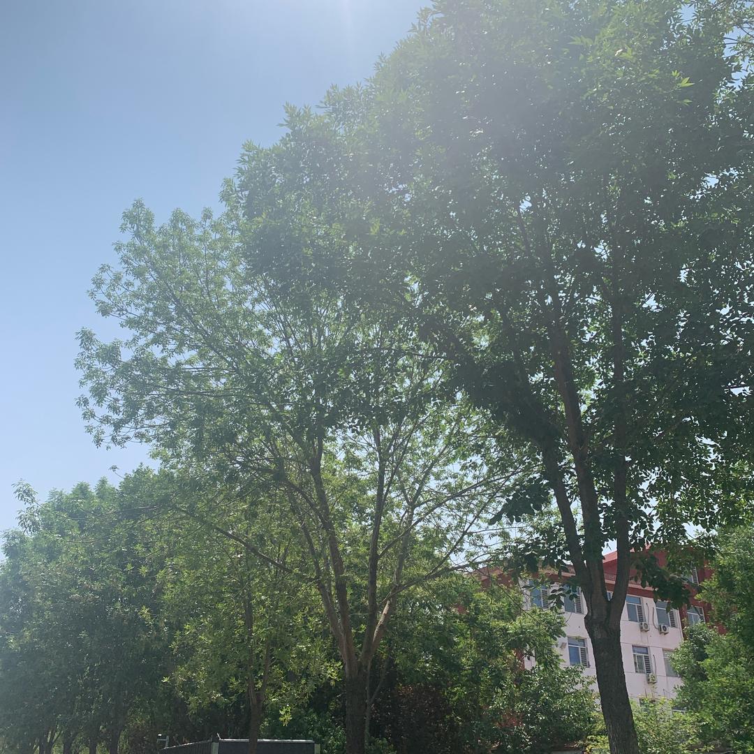 阿留聊天室