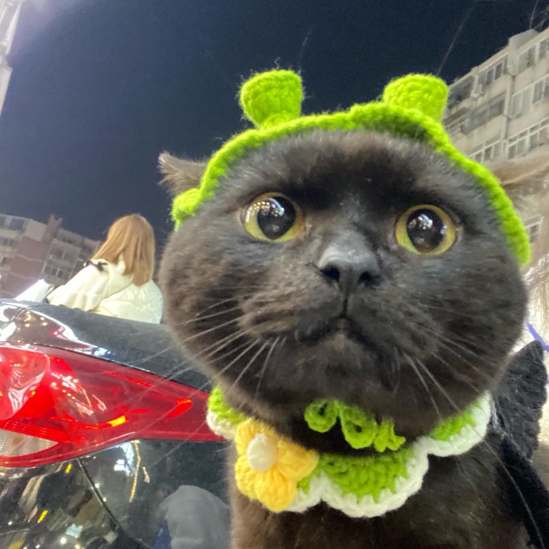 黑啤不皮
