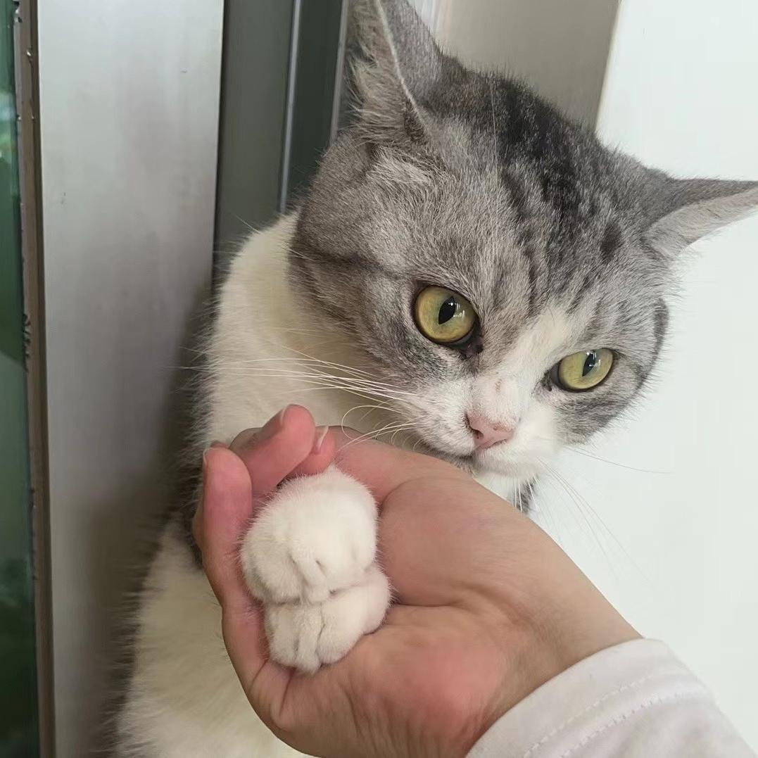小f
