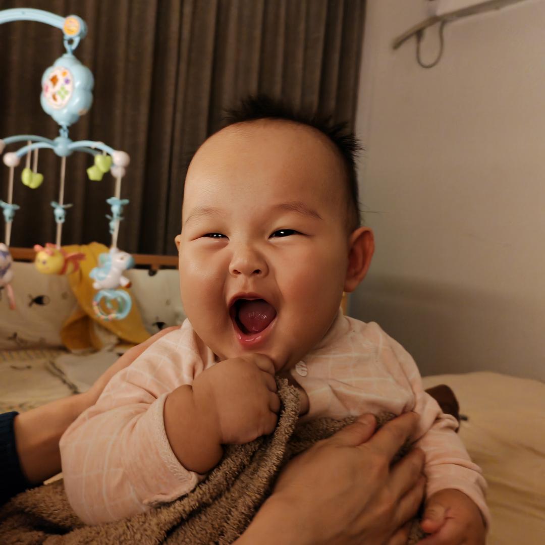 杨