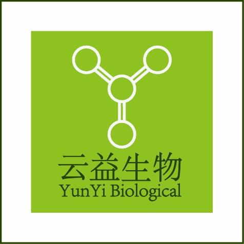 贠婷婷
