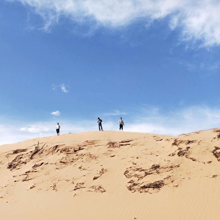 蜂箱梦糖
