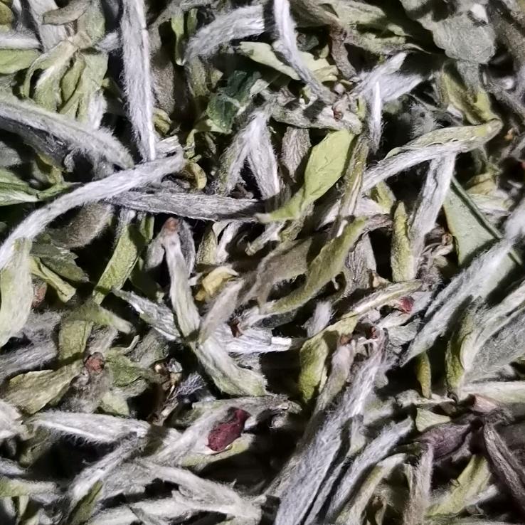羽丰副食品店