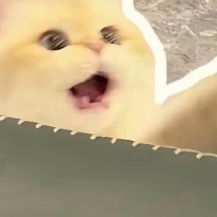 暮夜Zzz