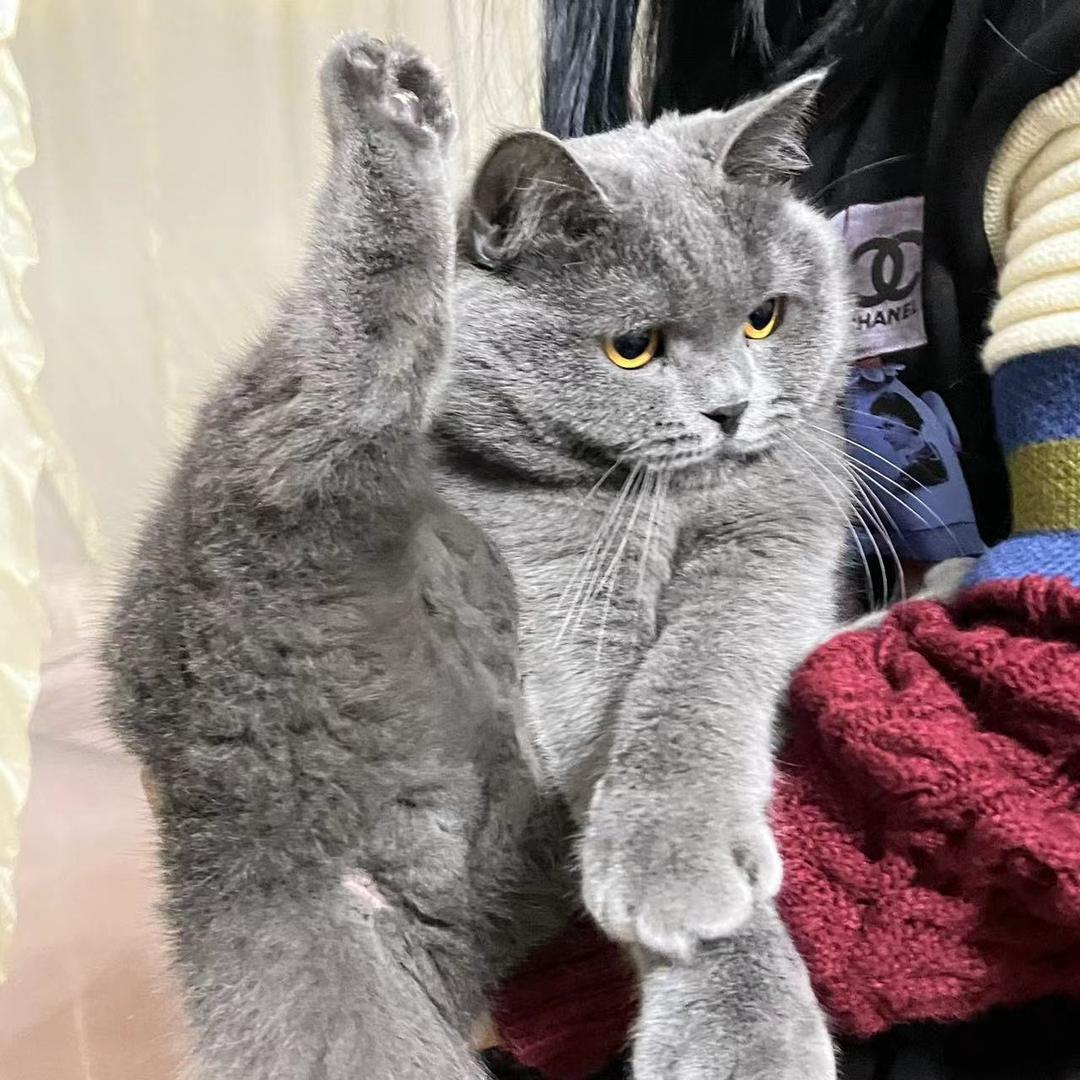 年总