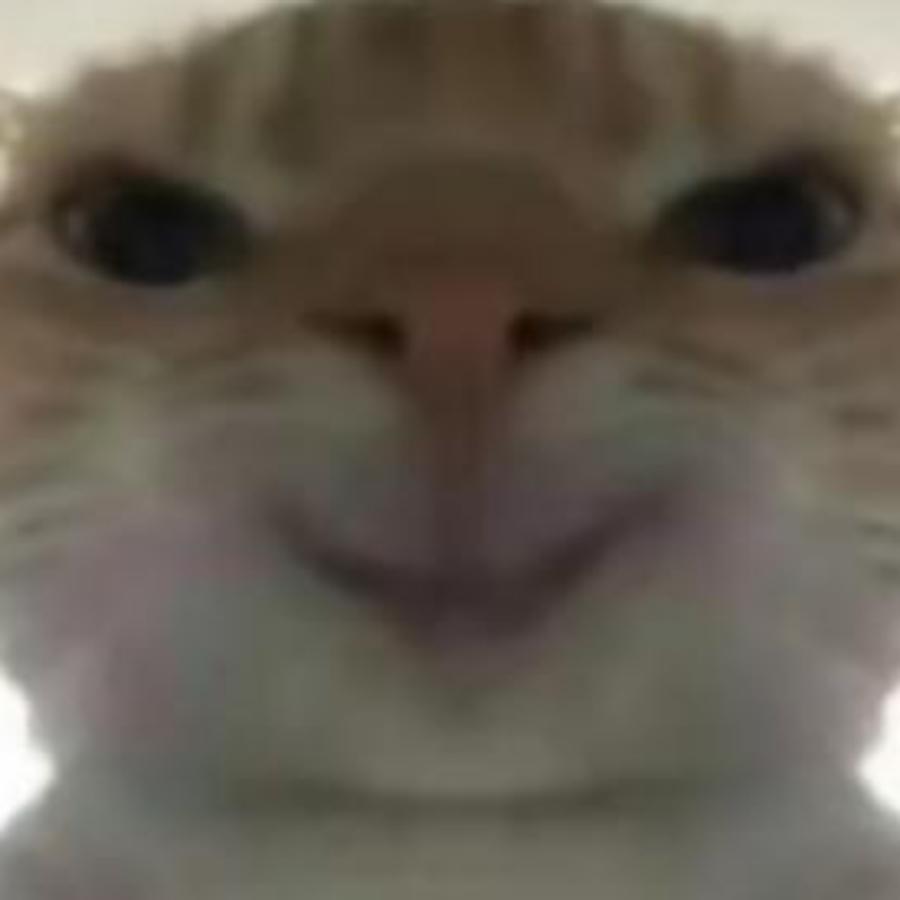 行行