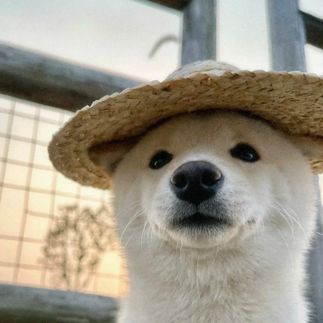 我很神秘