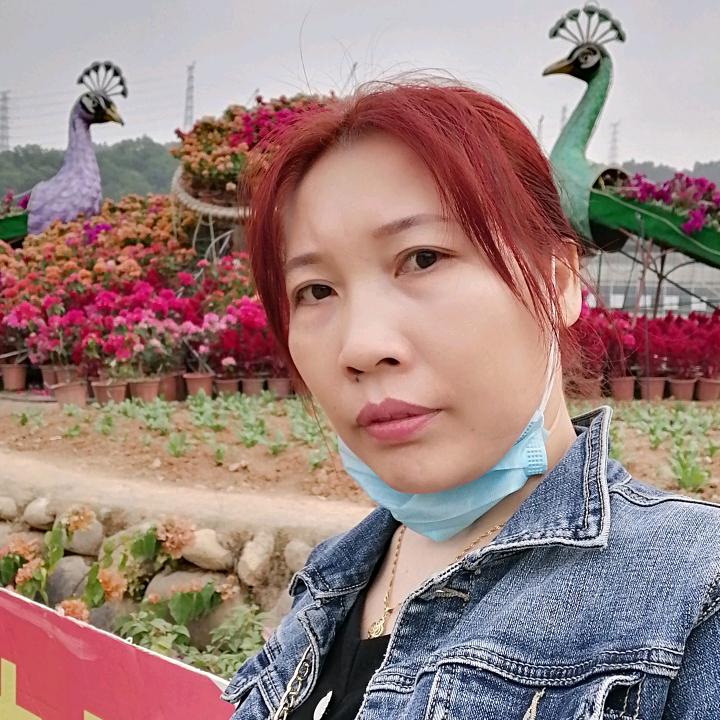 方琴