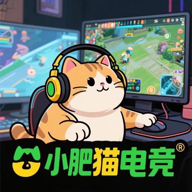 小肥猫电竞