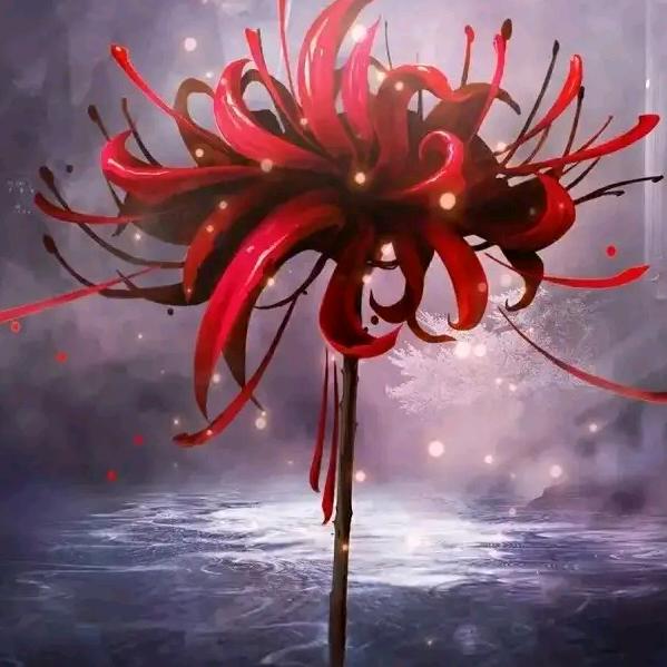 ⁵²º᭄ꦿ吴🎀⅓¼