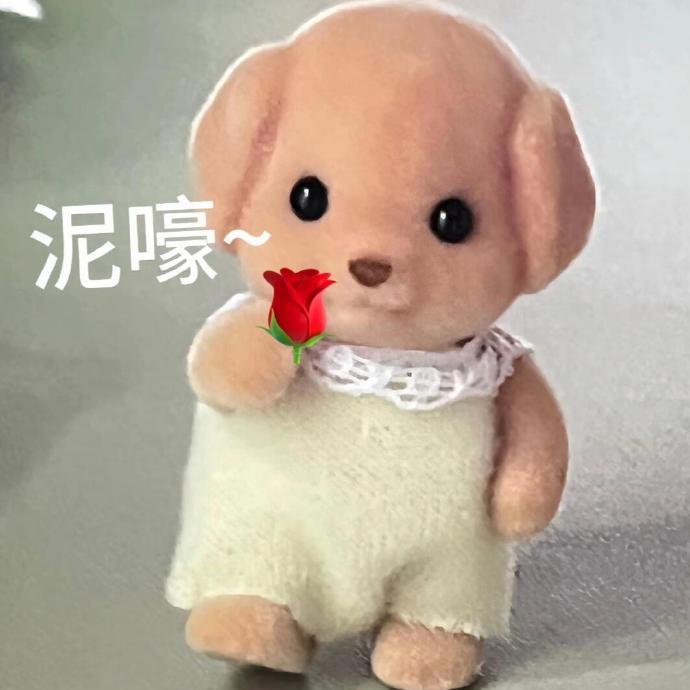 刘灿灿
