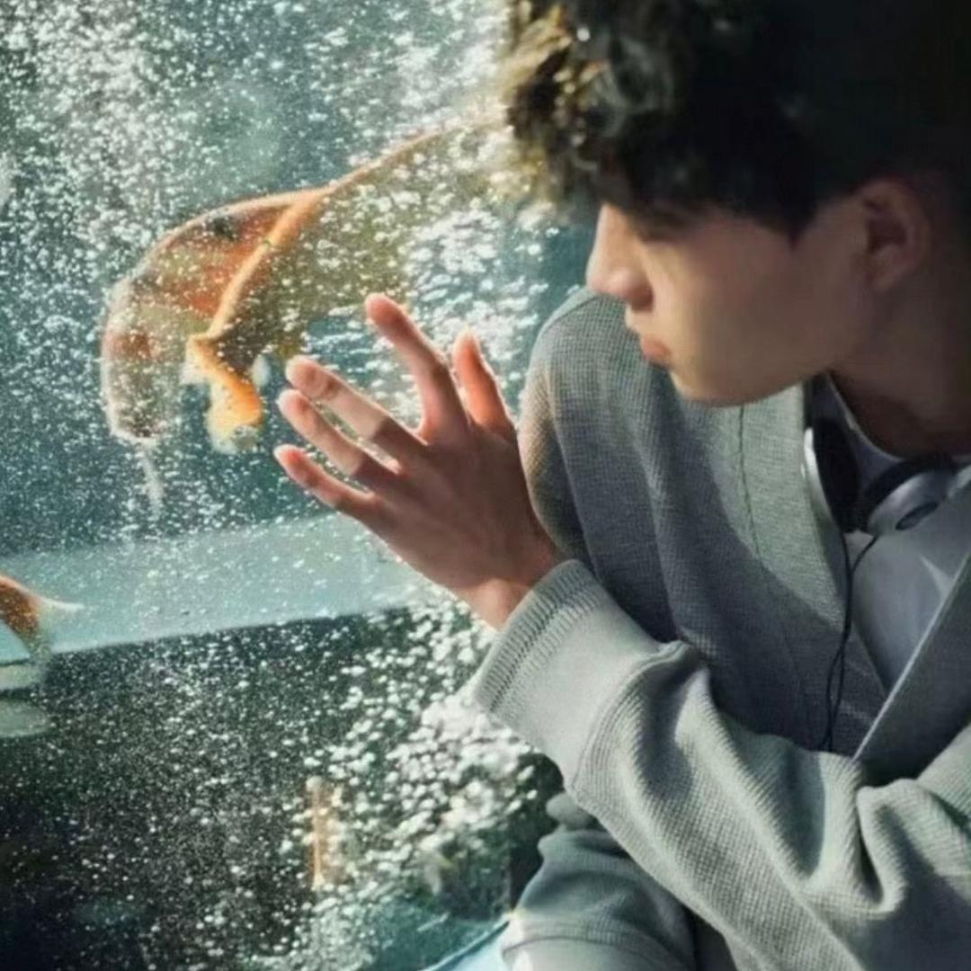 就是没头脑