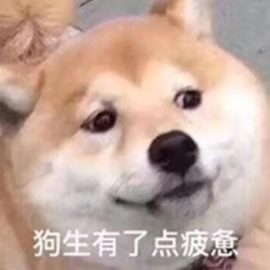 龍-正式 度日电动