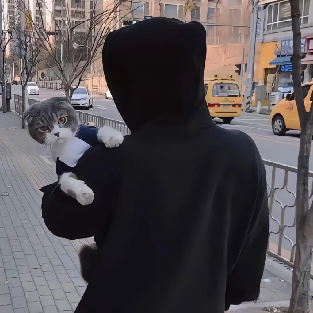 杭州💫小陈总