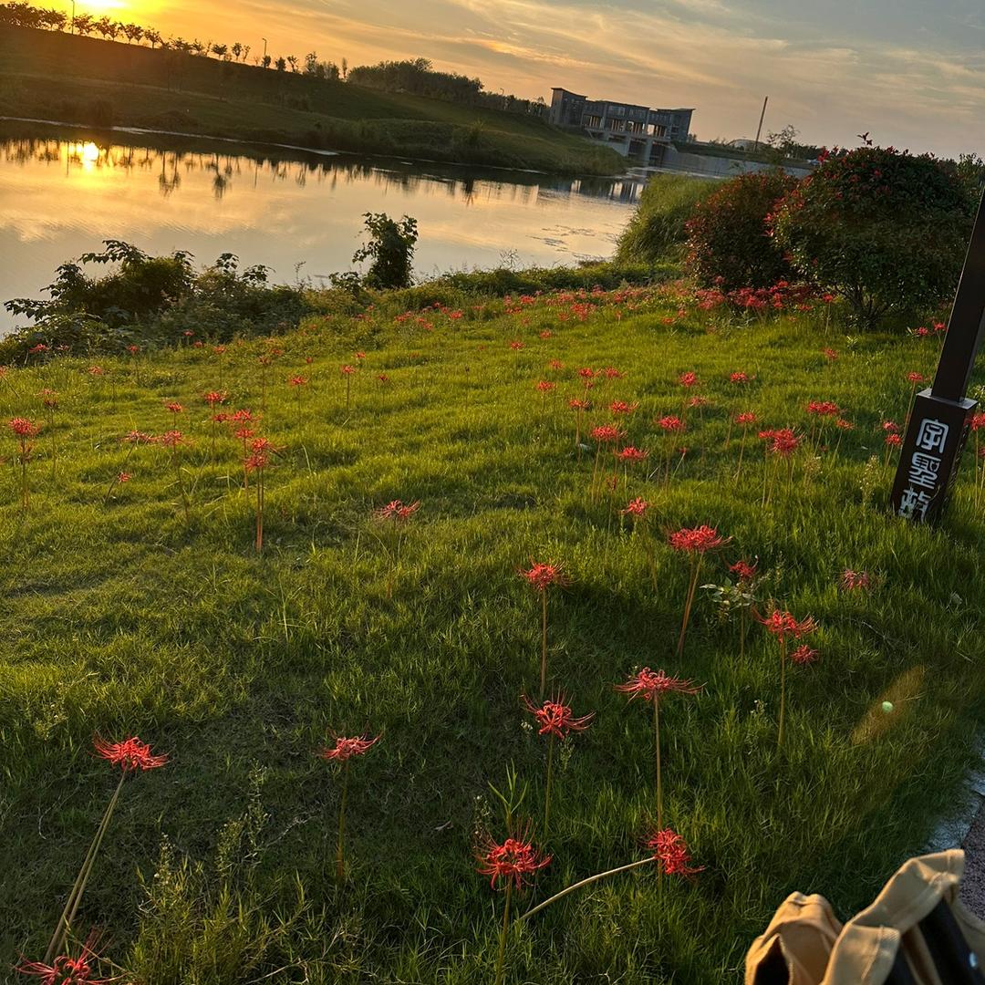 迪迪鲜农场
