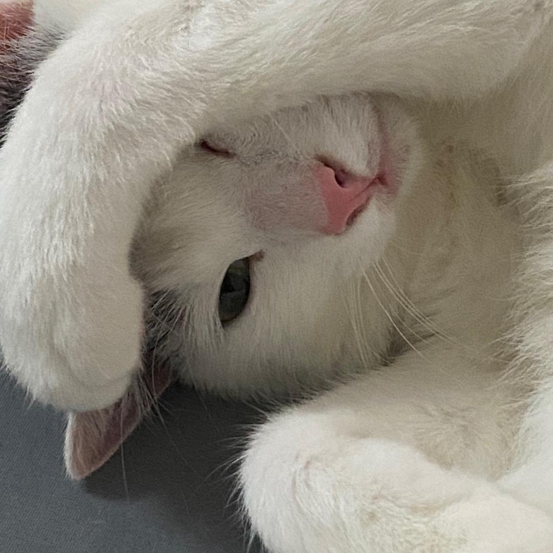 kuku妈真好吃推荐