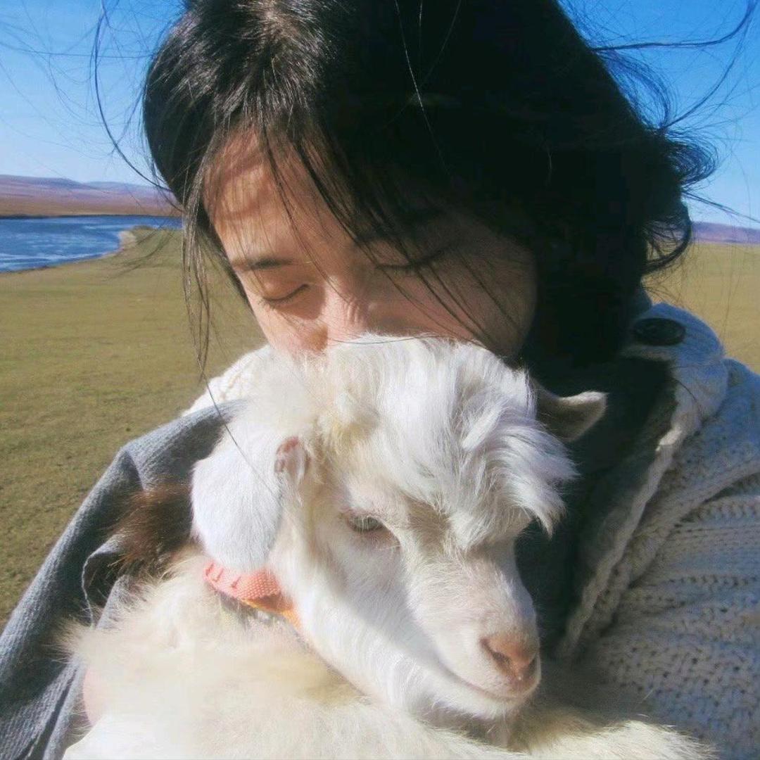 我爱每一个当下