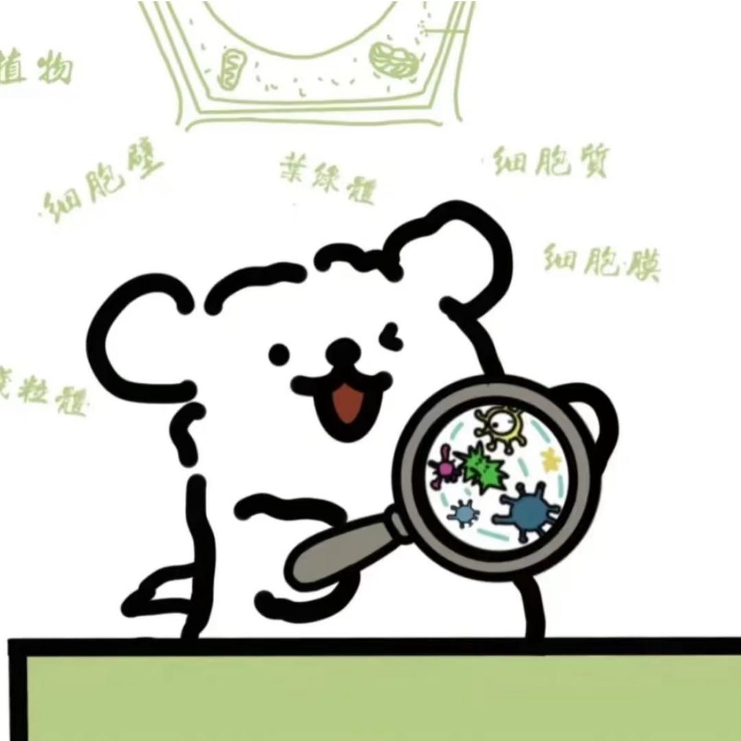 科学学习小分队