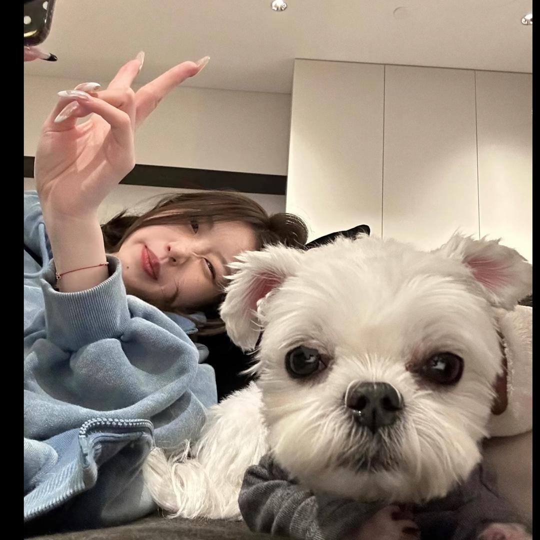 锦星传媒——小卤蛋