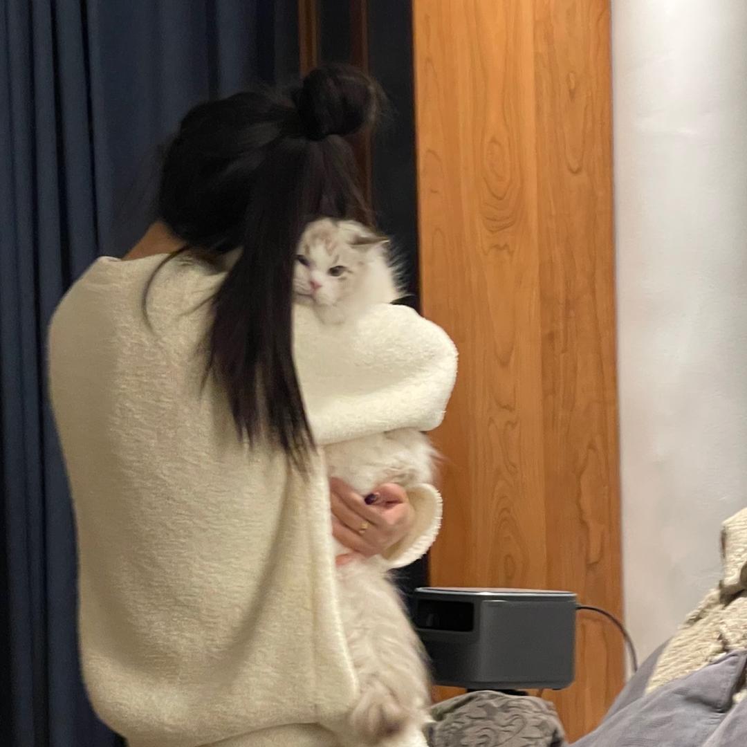 张小主