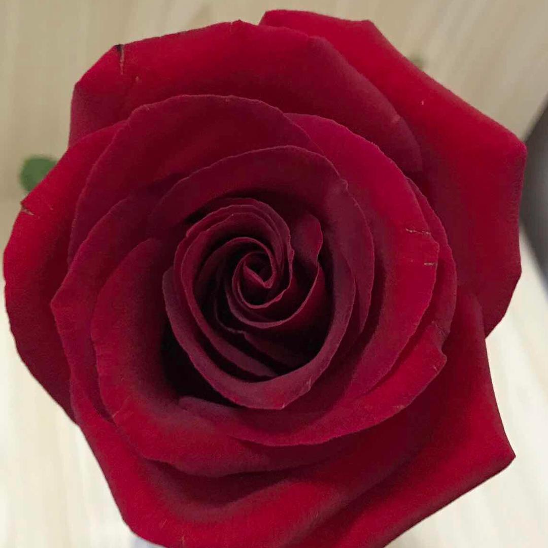 🌹₅²⁰嬲嫐¹ᶟ₁₄💋