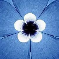 萍聚办公excel
