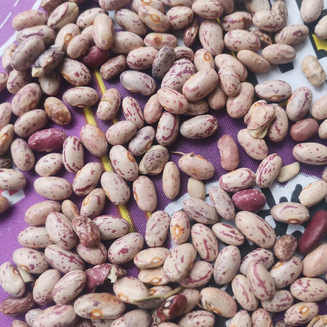 仲满种植专业合作社